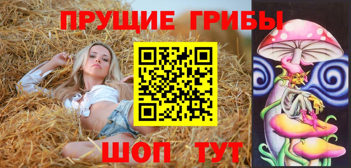 Псилоцибиновые грибы Psilocybe  наркотики  Одинцово  Вход с VPN 
